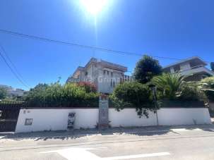 Vendita Trivani, Anzio