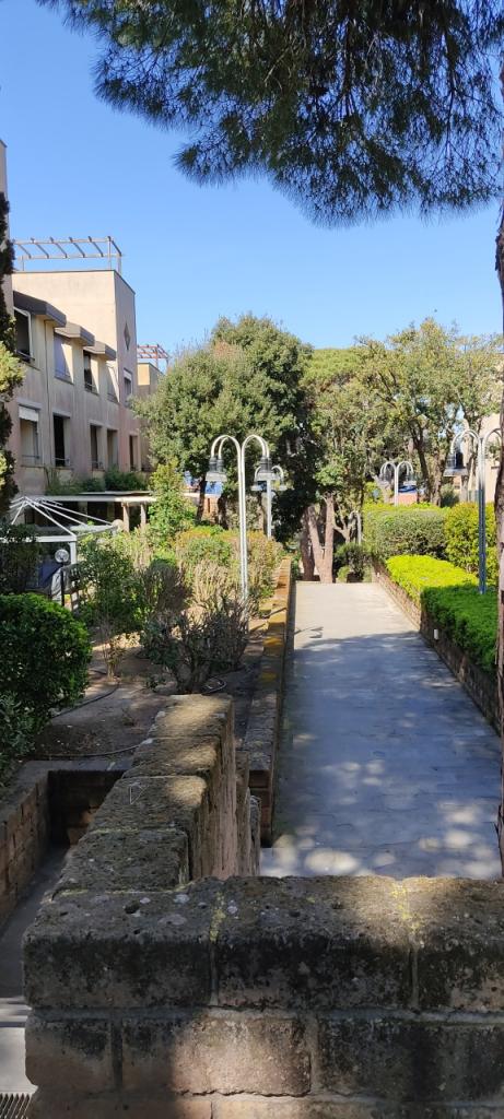 Vendita Bivani, Castiglione della Pescaia foto