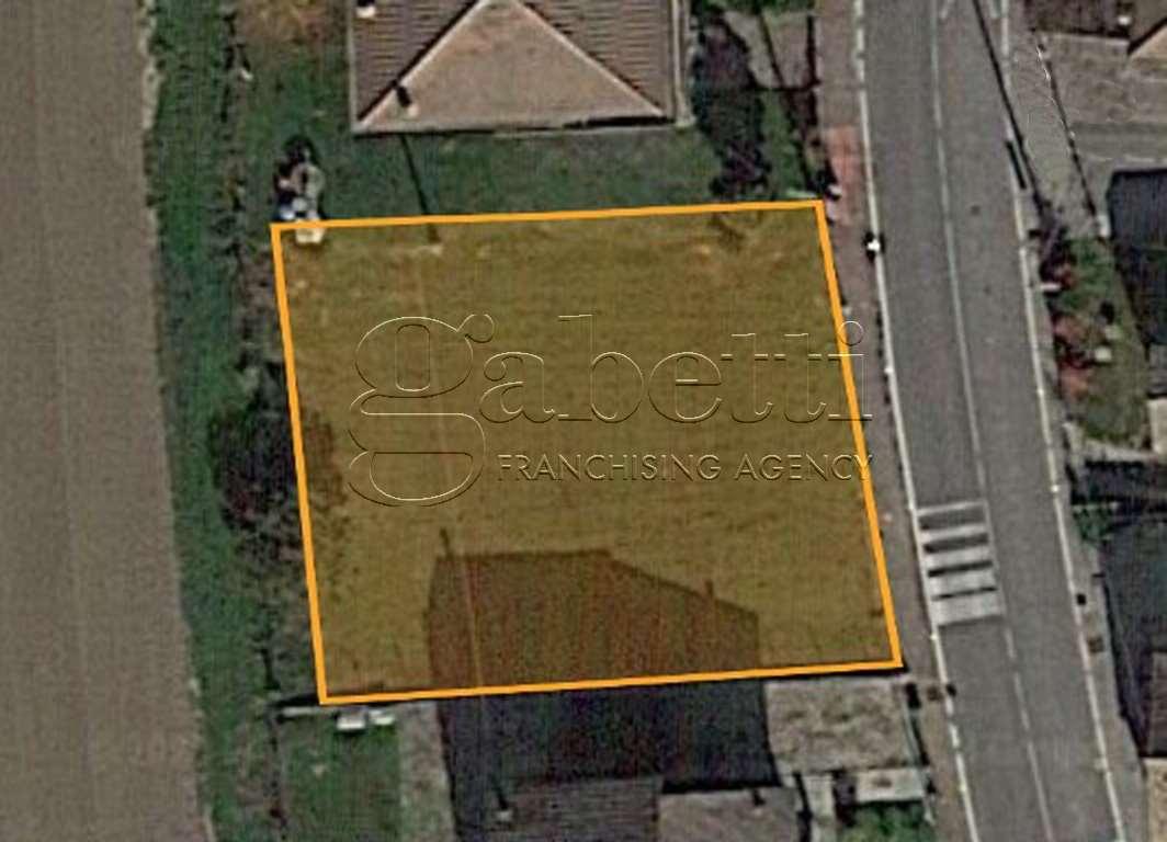 Vendita vendita, Ferrara foto