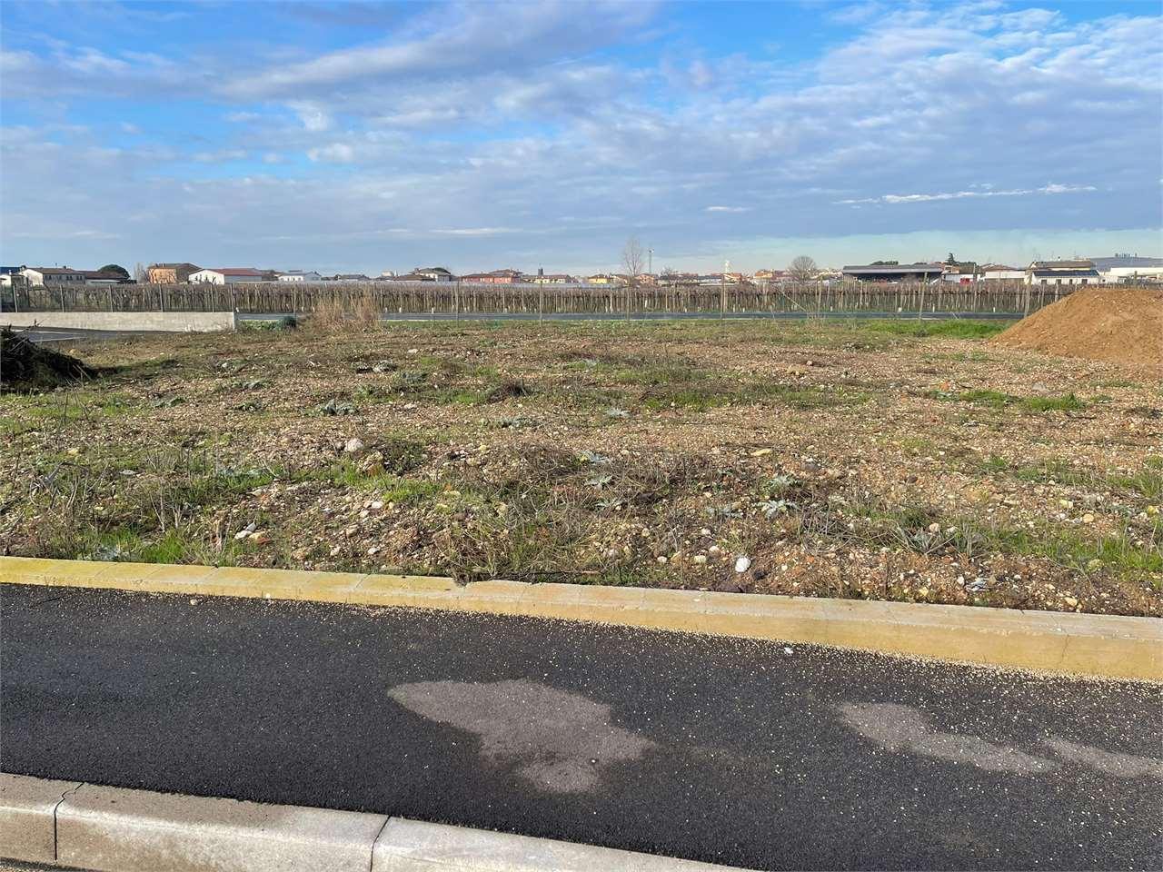 Vendita vendita, San Bonifacio foto