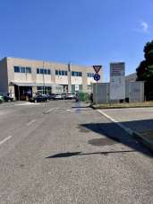 Affitto D, Livorno