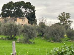 Vendita Terreni, Caltanissetta