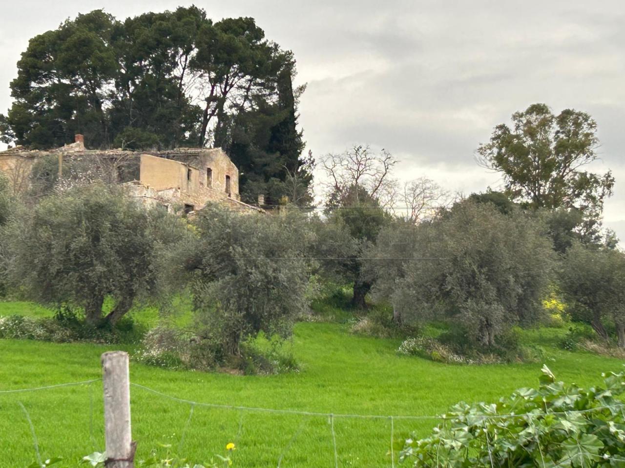 Vendita Terreni, Caltanissetta foto