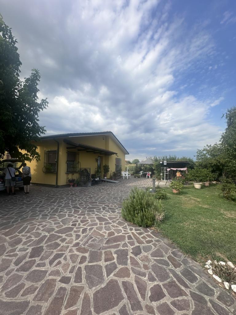 Vendita Multivani, Rovigo foto