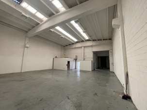 Affitto Monovano, Codogno