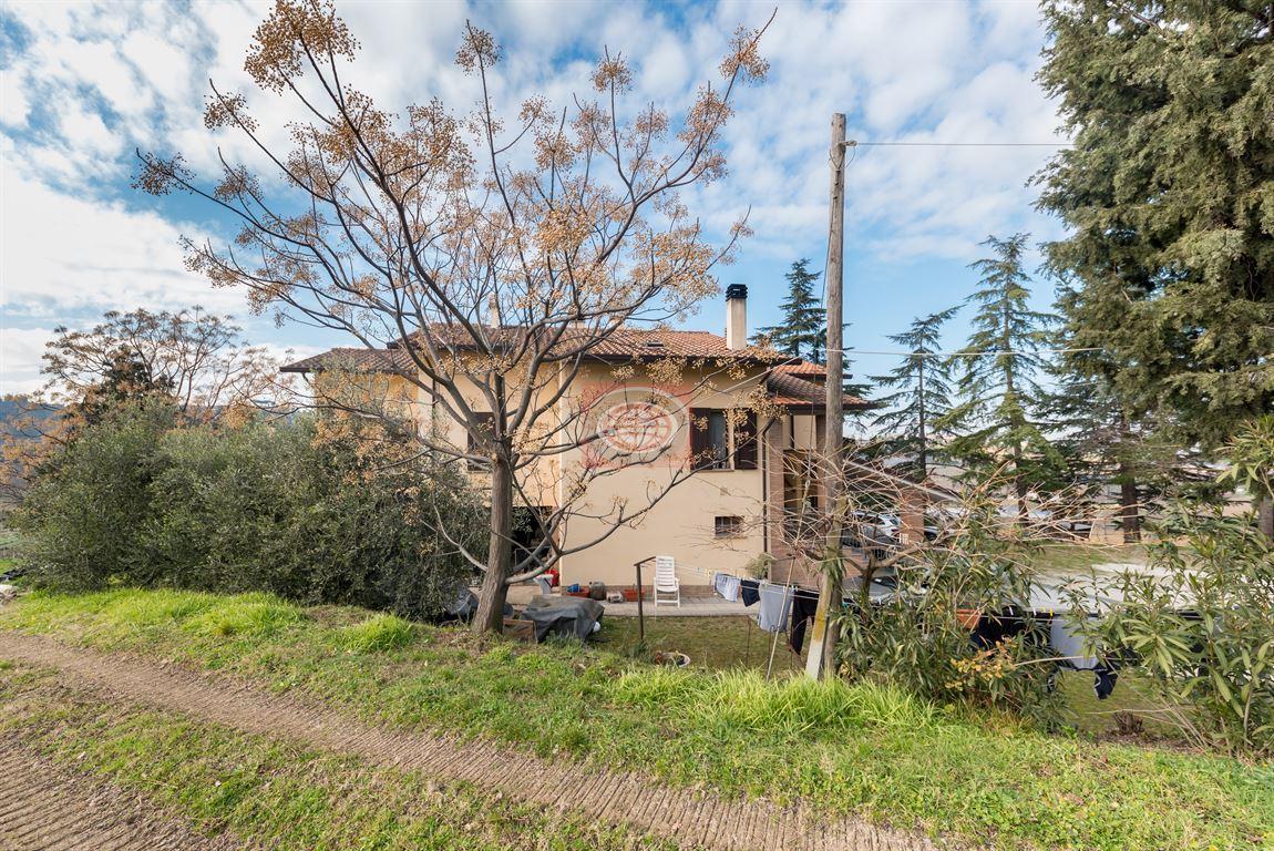 Vendita Casa Indipendente, Longiano foto