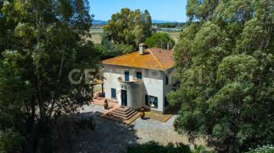Vendita Multivani, Orbetello