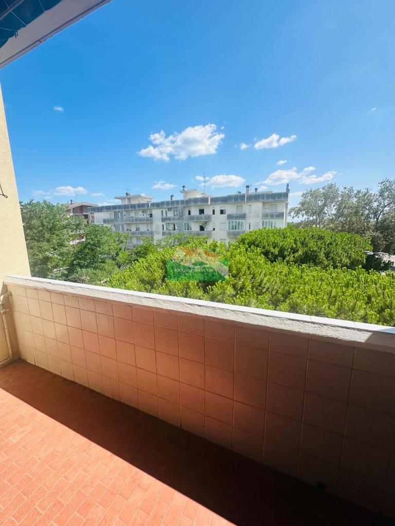 Vendita Trivani, Ravenna Vendita Trivani, Ravenna foto