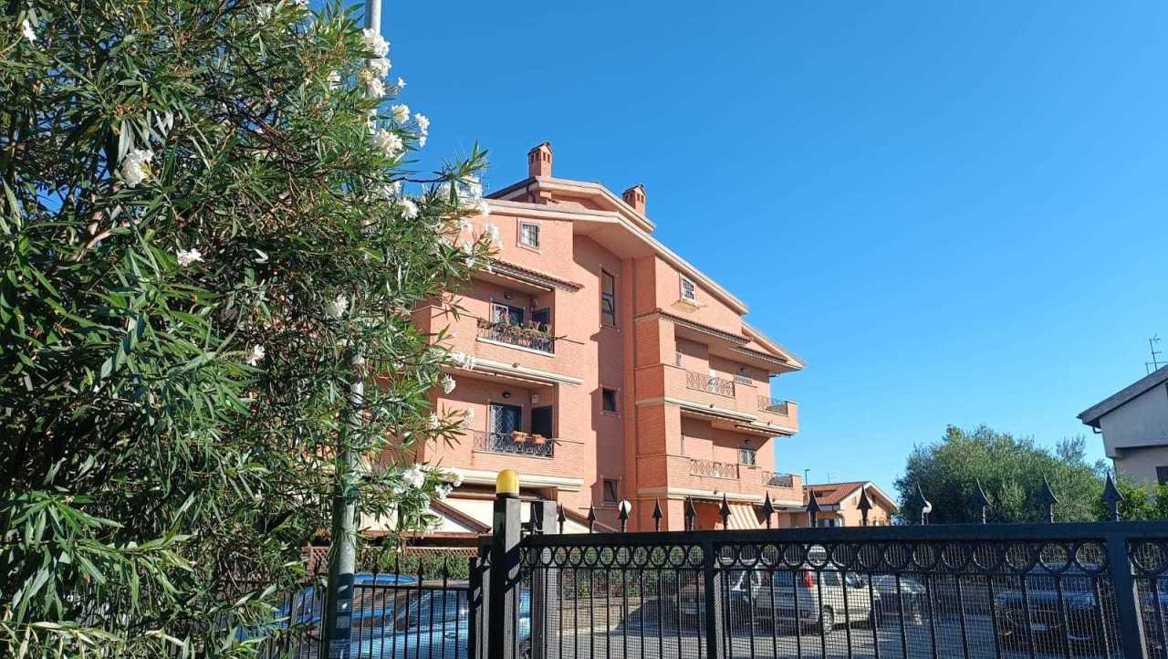 Vendita Bivani, Roma foto