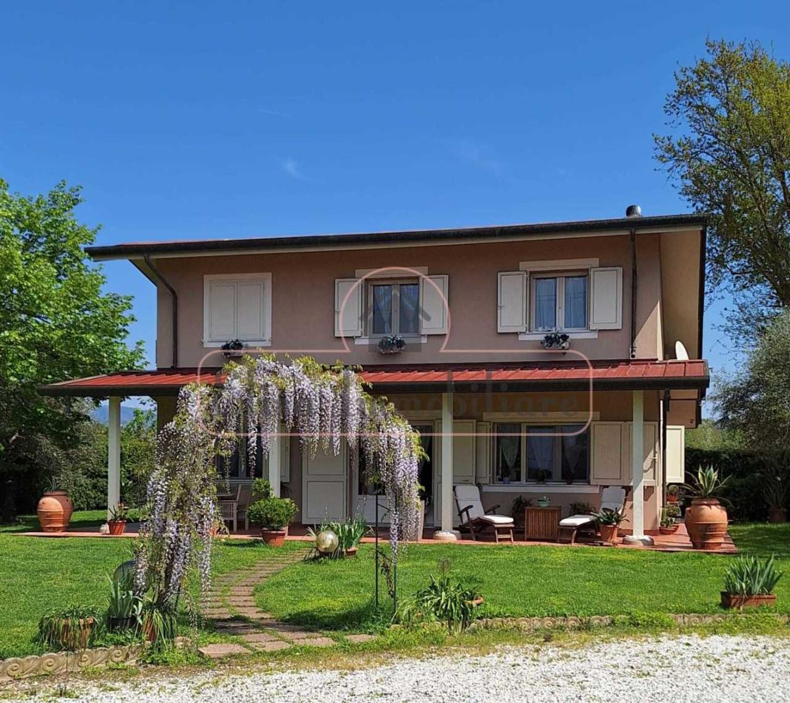 Vendita Pentavani, Viareggio Vendita Pentavani, Viareggio foto