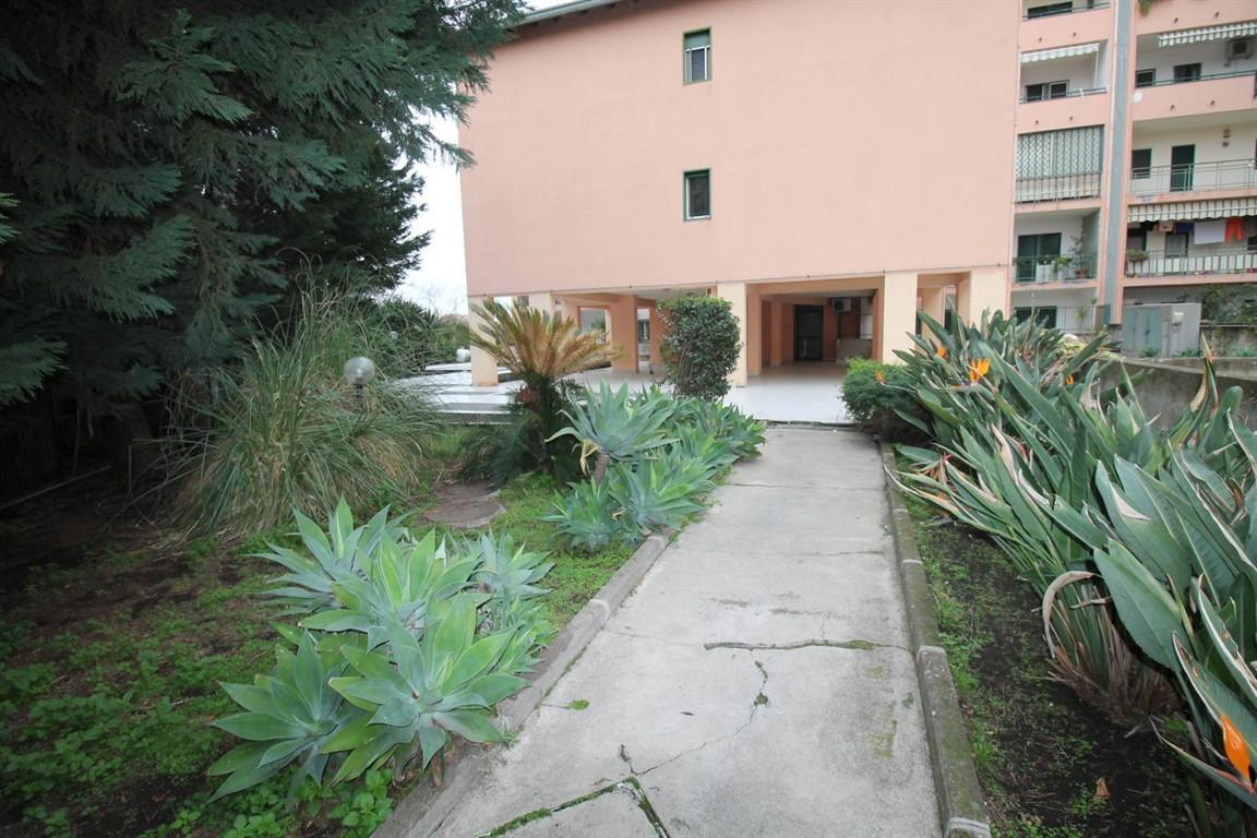 Vendita Appartamento, Catania foto