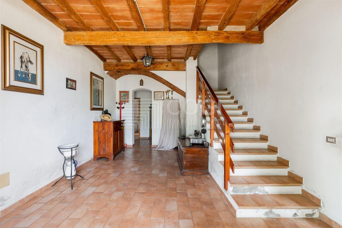 Vendita Rustico / Casale, Conselice foto