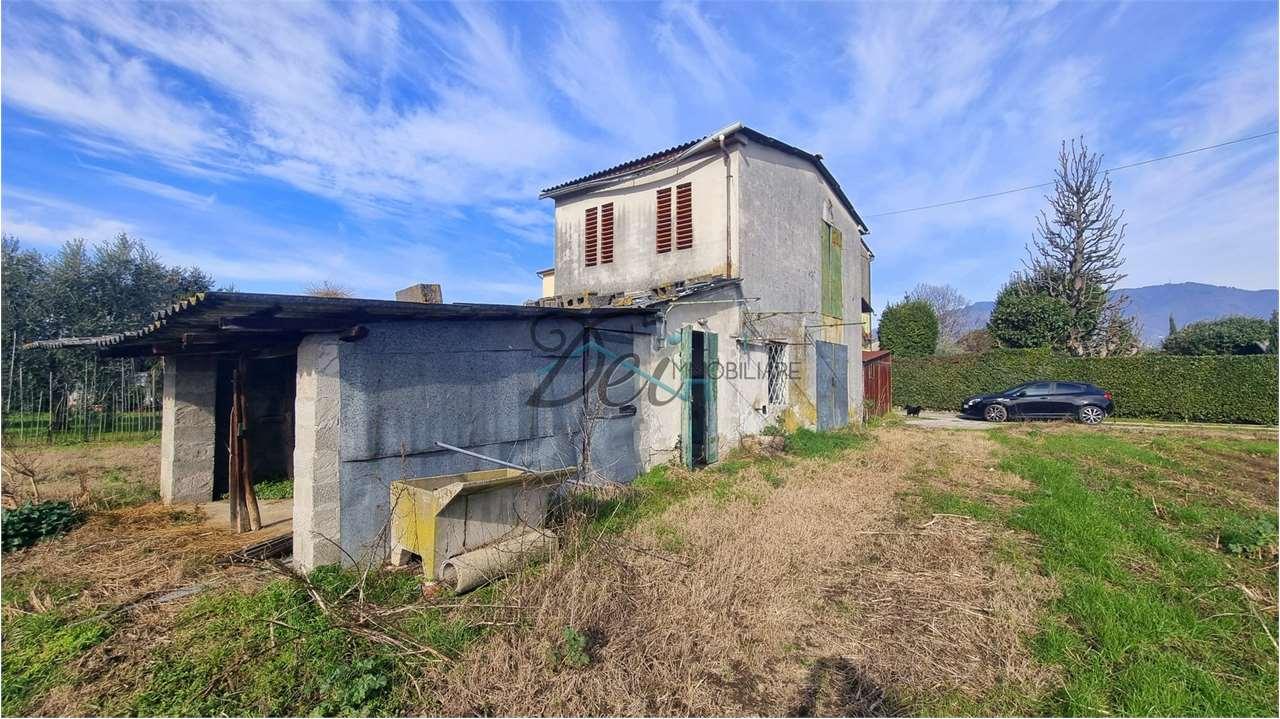 Vendita vendita, Lucca foto