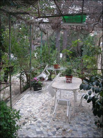 Vendita Multivani, Livorno Vendita Multivani, Livorno foto