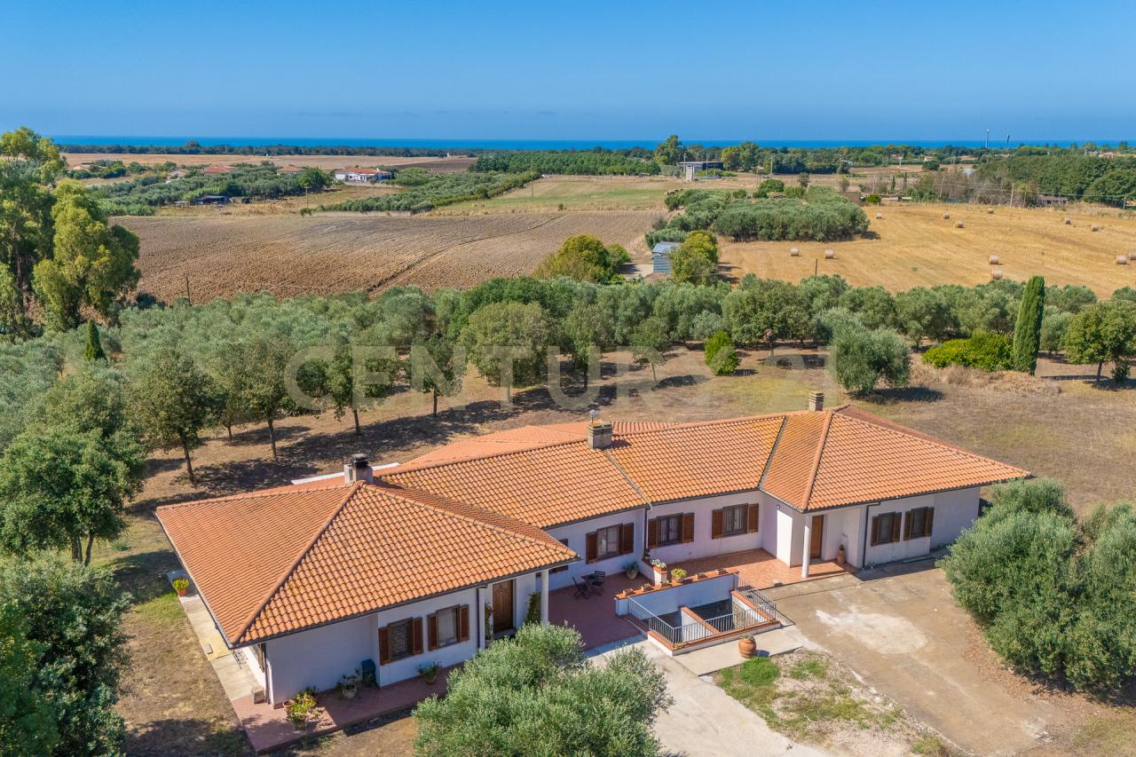 Vendita Esavani, Montalto di Castro foto