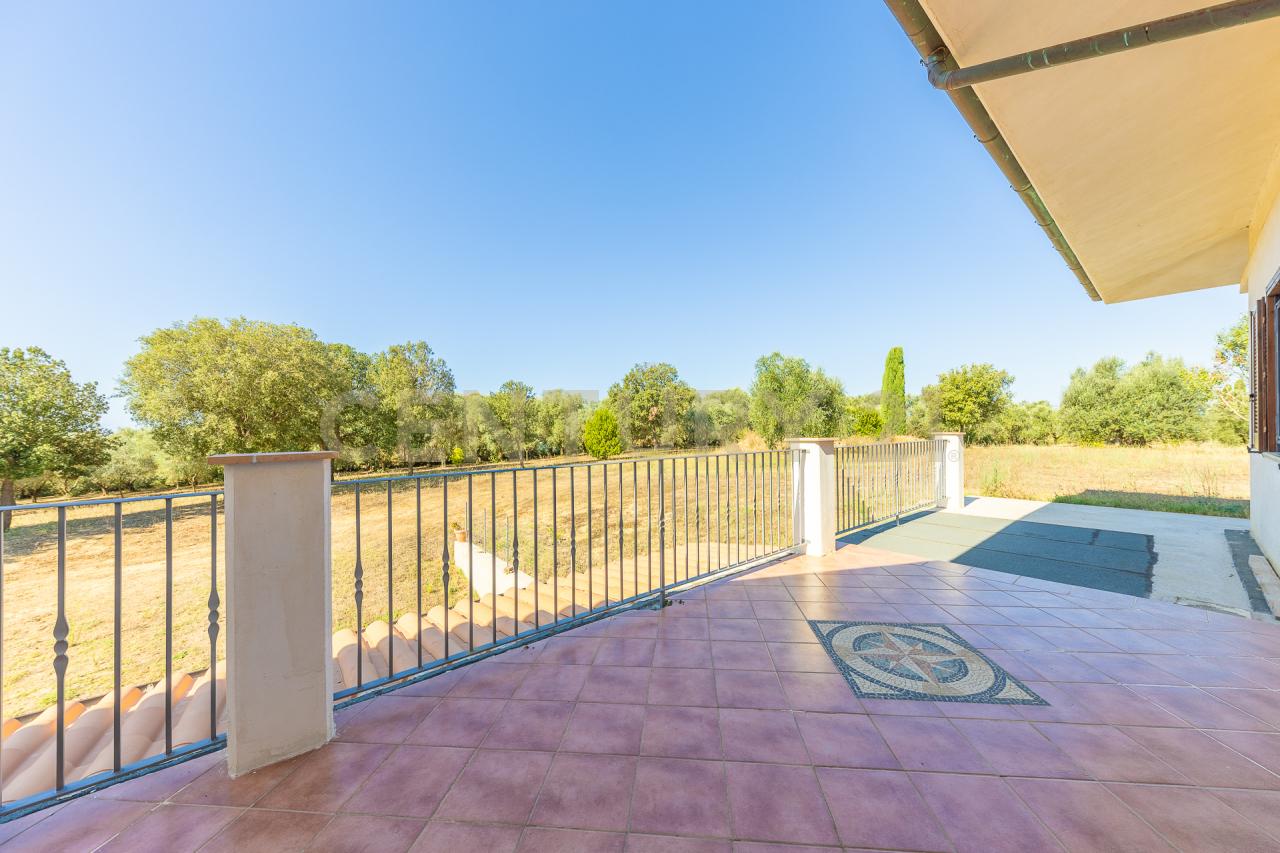 Vendita Esavani, Montalto di Castro foto