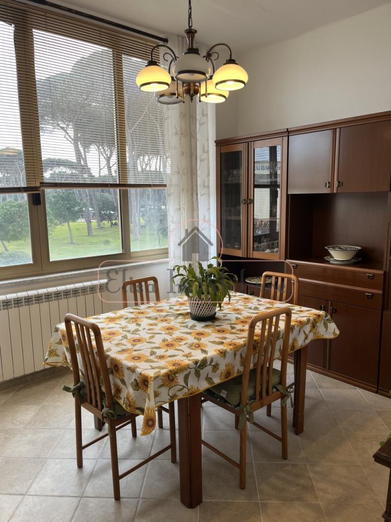 Affitto Quadrivani, Viareggio foto