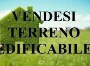 Vendita Monovano, Boara Pisani