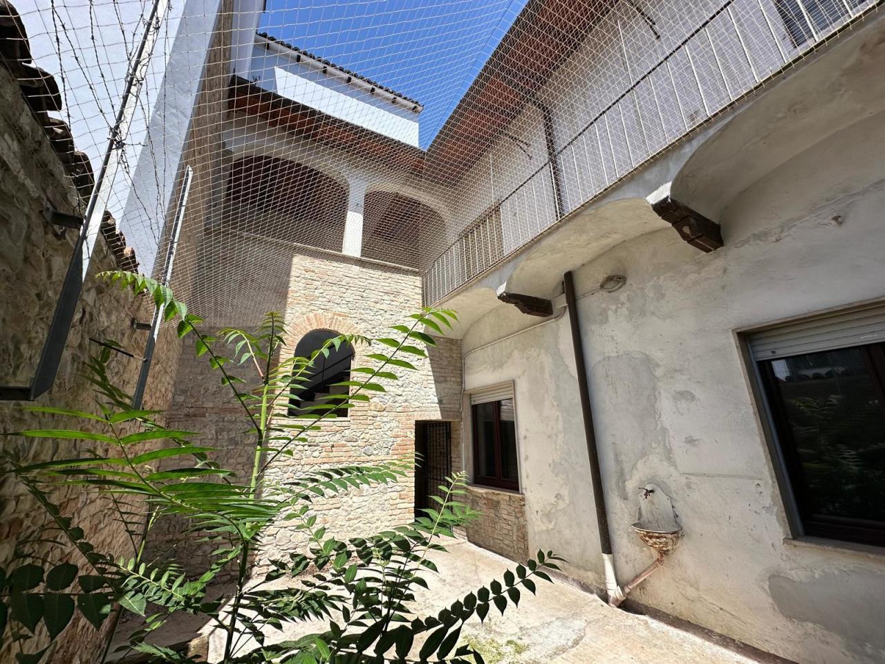 Vendita Multivani, Fiorenzuola d'Arda Vendita Multivani, Fiorenzuola d'Arda foto