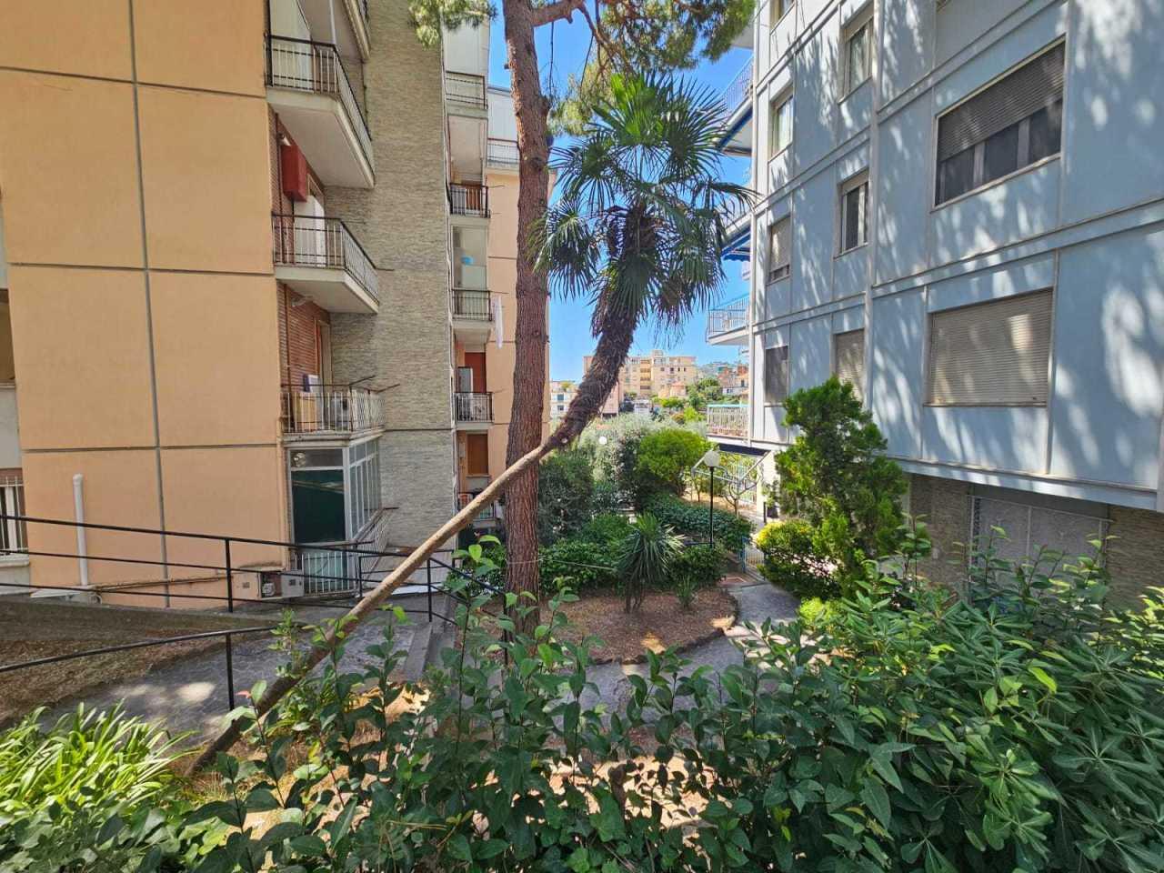 Vendita Bivani, Sanremo foto