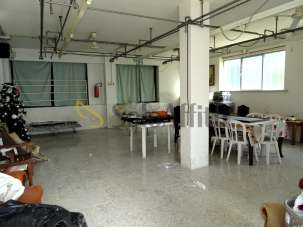 Affitto Monovano, Senigallia
