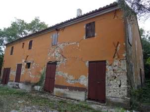 Vendita Multivani, Senigallia