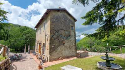 Vendita vendita, Molazzana Vendita vendita, Molazzana