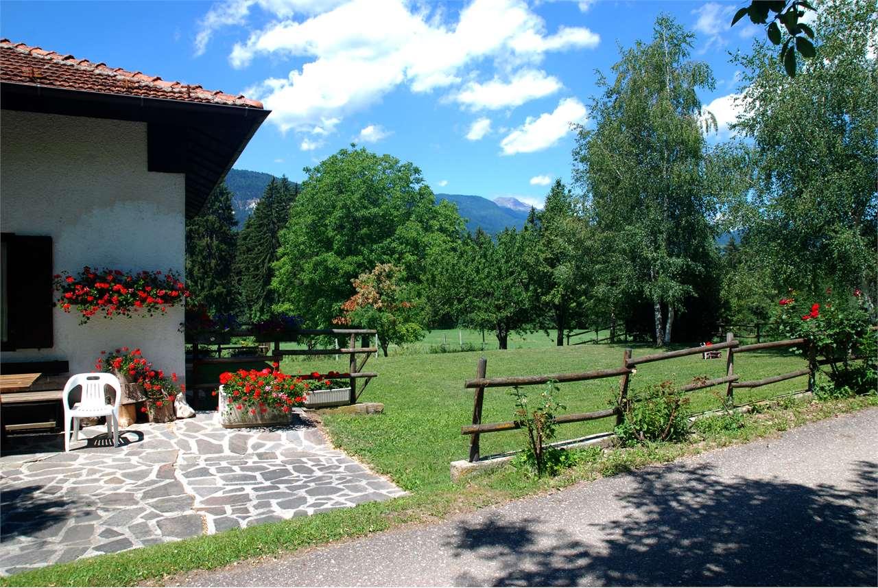 Vendita vendita, Sarnonico foto