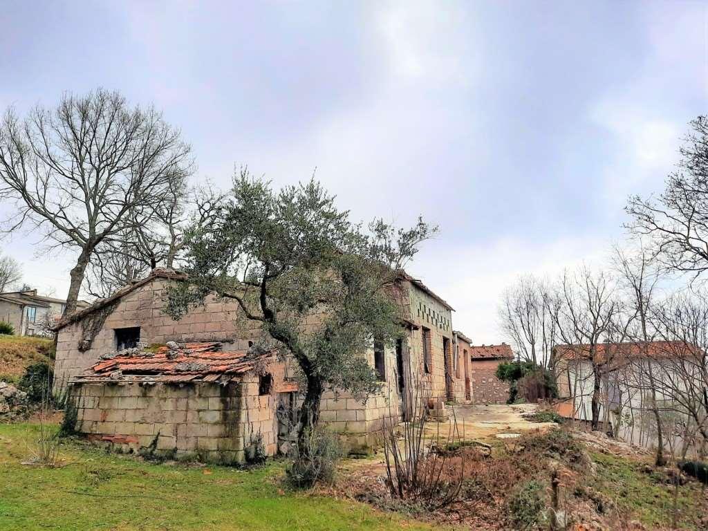 Vendita vendita, Veroli foto