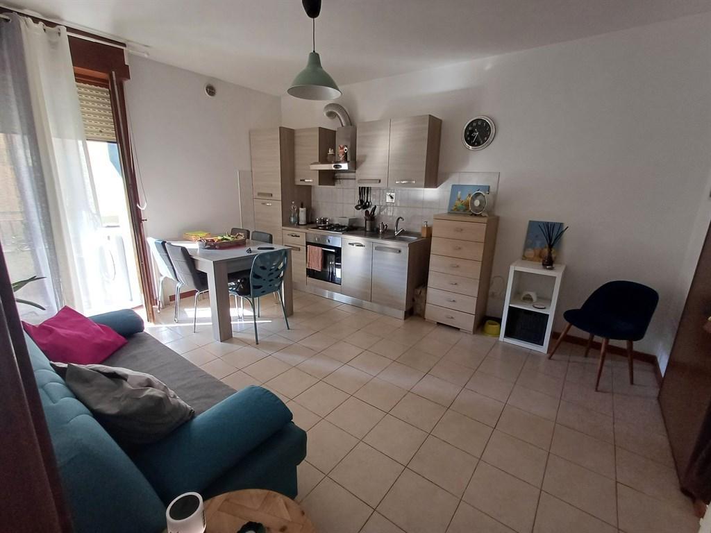 Affitto Appartamento, Firenze foto