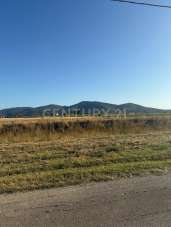 Vendita Terreni, Grosseto