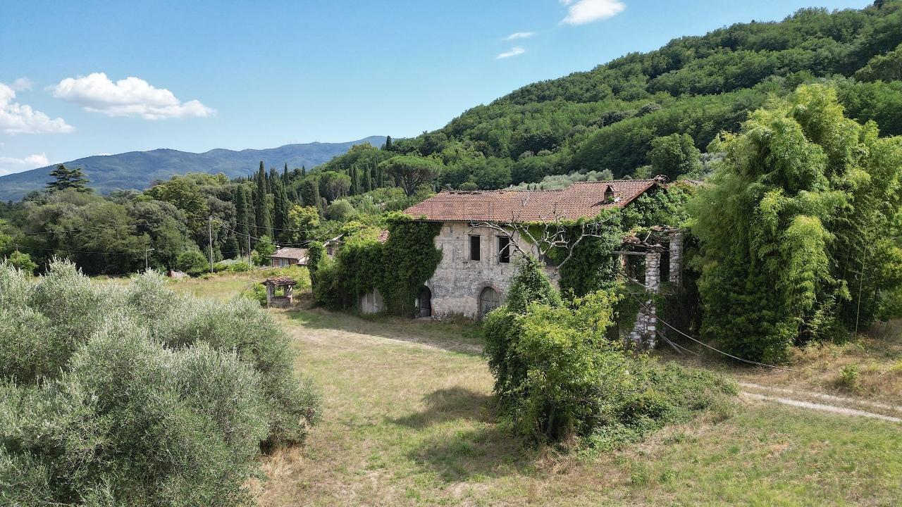 Vendita Multivani, Lucca Vendita Multivani, Lucca foto