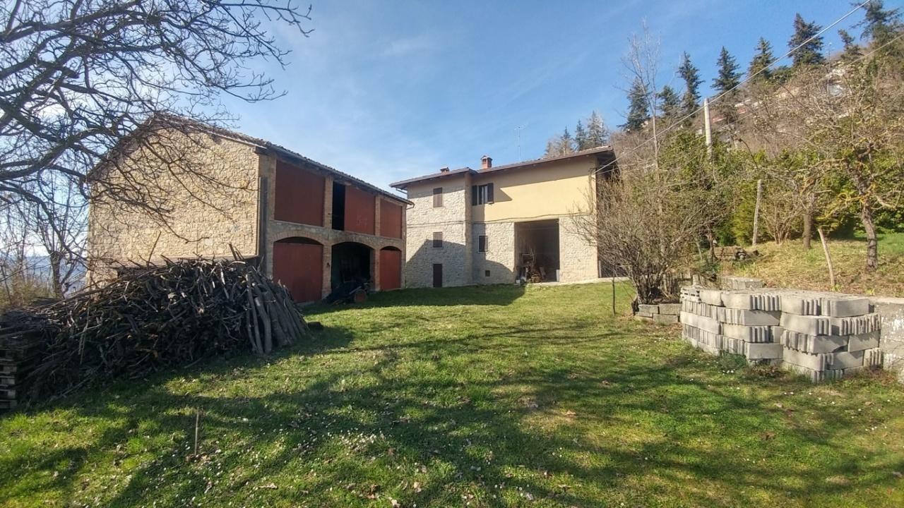 Vendita Terreni, Zocca foto