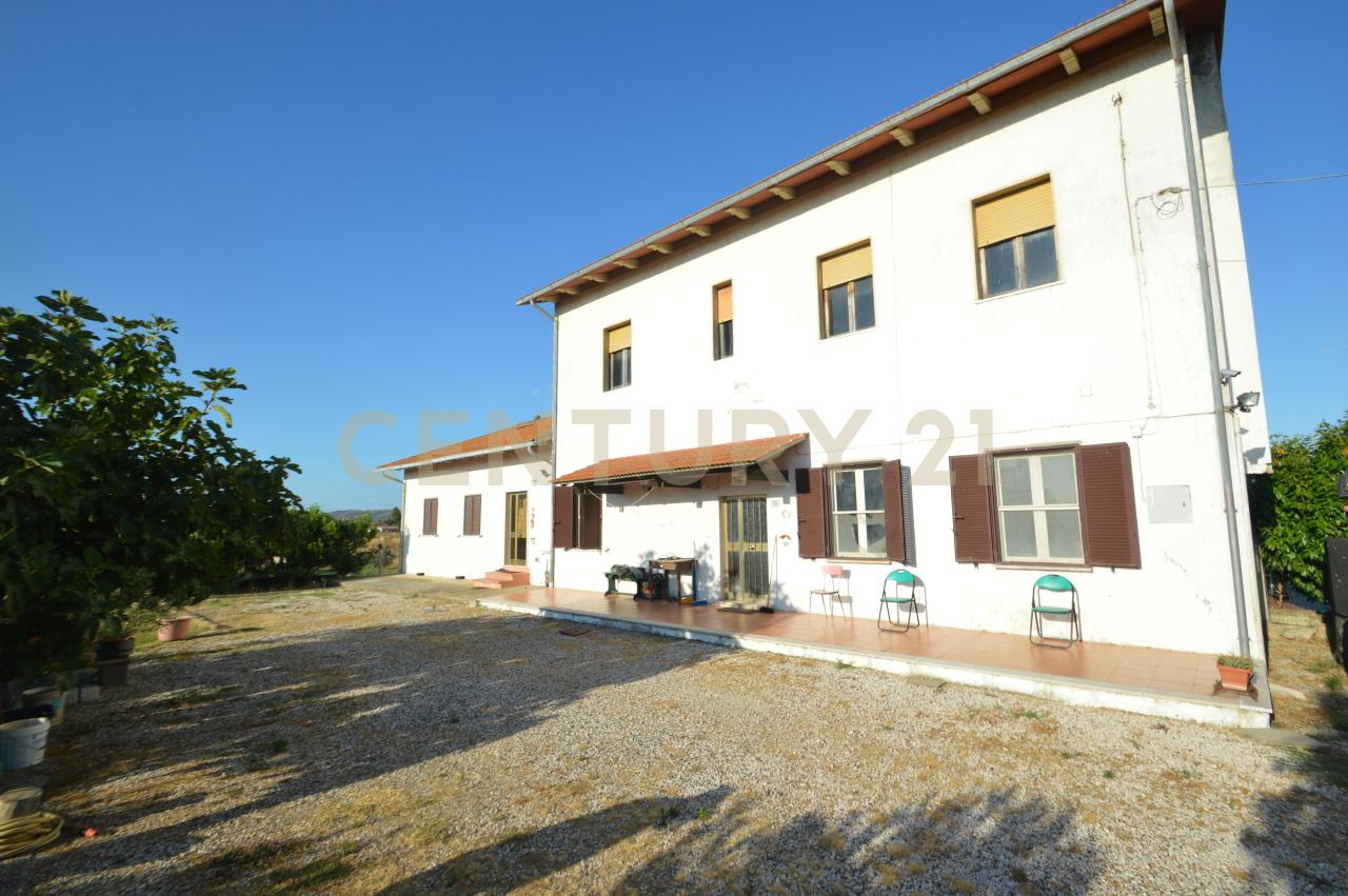 Vendita Eptavani, Grosseto Vendita Eptavani, Grosseto foto