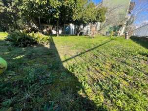 Vendita Multivani, Carrara