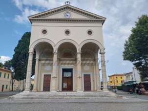 Vendita Multivani, Rosignano Marittimo