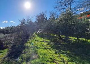 Vendita Altri immobili, Arezzo