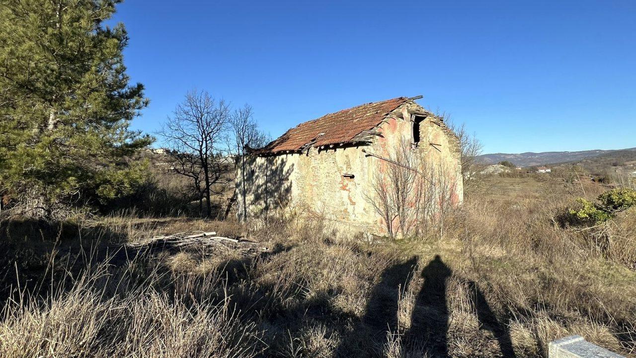 Vendita Multivani, Mioglia foto