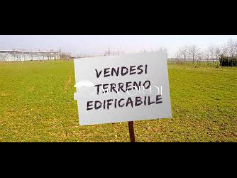 Vendita Case, Trevignano foto