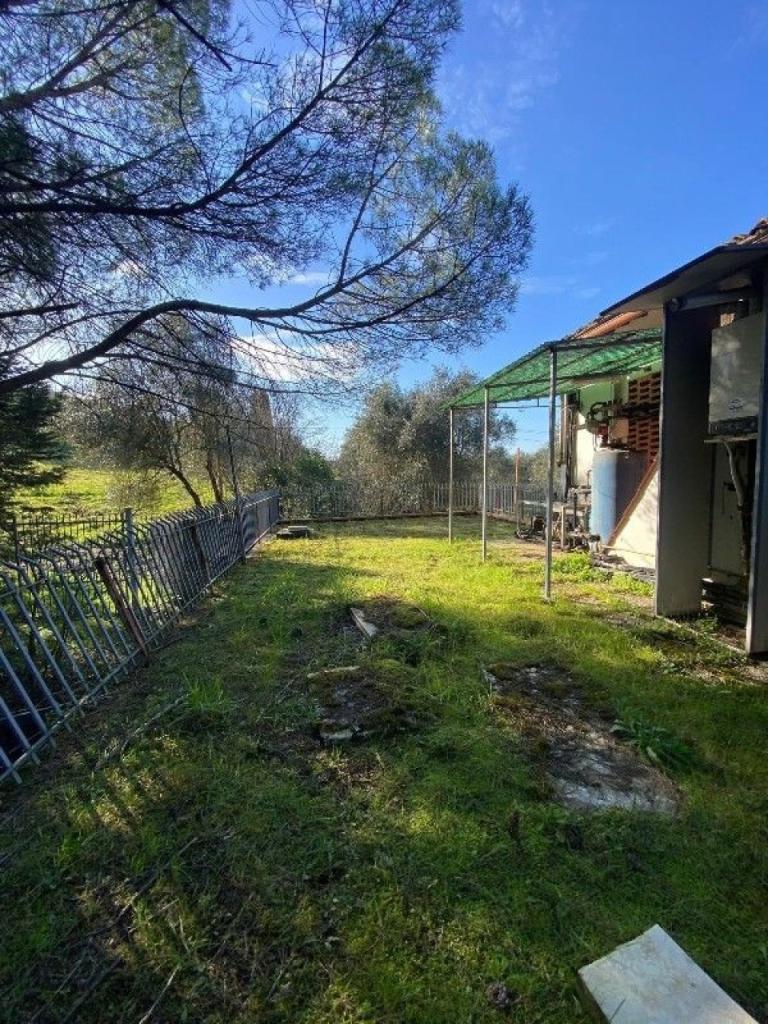 Vendita Multivani, Empoli foto