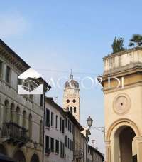 Vendita Bivani, Conegliano