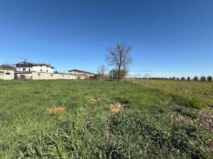 Vendita Pentavani, San Fiorano Vendita Pentavani, San Fiorano