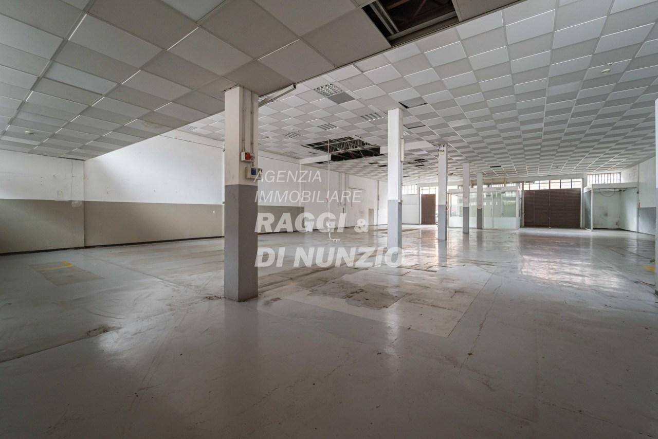 Rent Industriale, Frascati foto