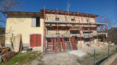 Vendita Multivani, Zocca