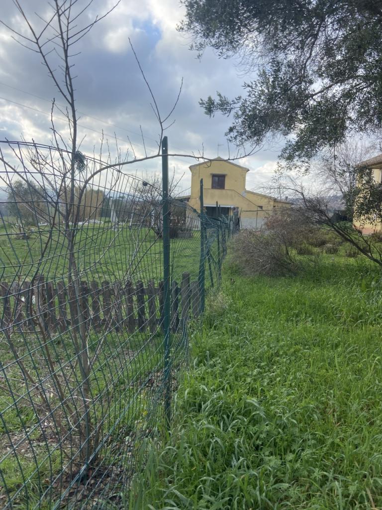 Vendita Quadrivani, Osimo foto