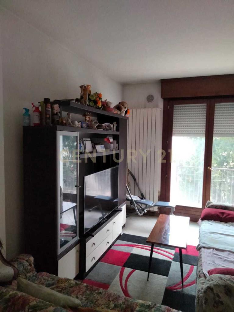 Vendita Quadrivani, Casaleone foto