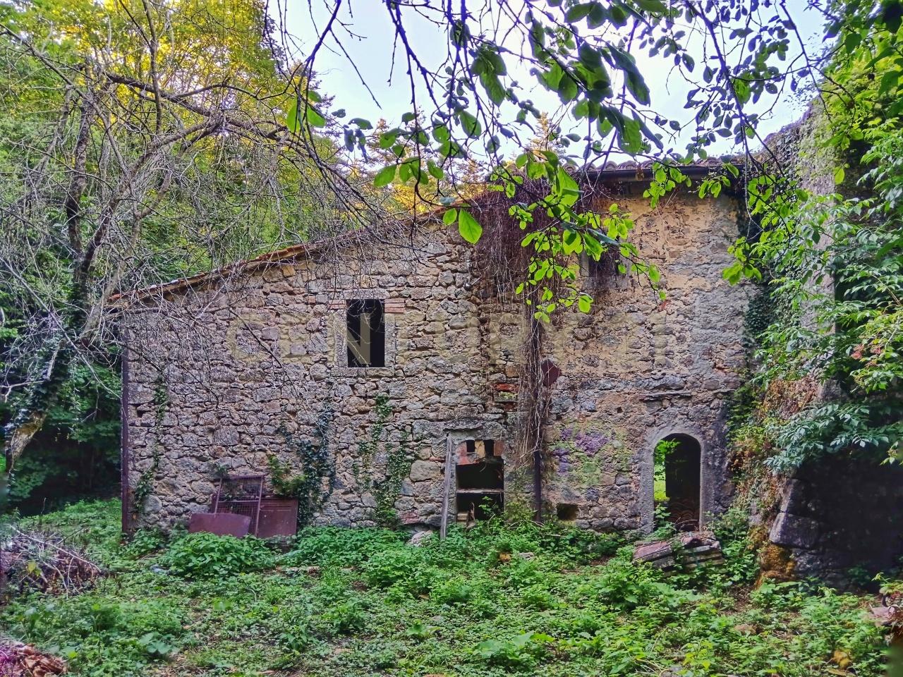 Vendita Terreni, Castiglione d'Orcia foto