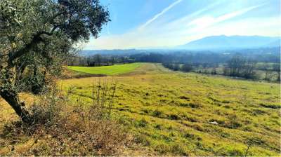 Vendita vendita, Ceccano Vendita vendita, Ceccano