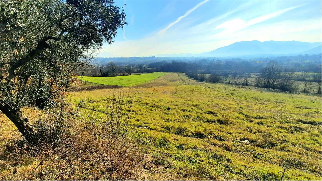 Vendita vendita, Ceccano Vendita vendita, Ceccano foto