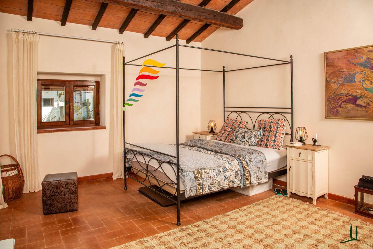 Vendita Multivani, Cinigiano foto
